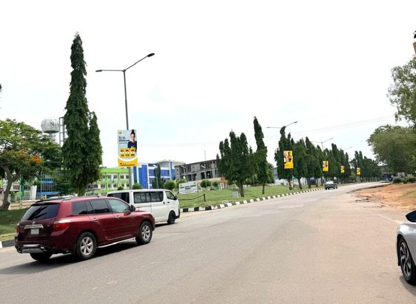ABV-029 · Lamppost Banners — Toll Gate to Domestic Terminal D, Abuja Airport advertising face and surrounding environment